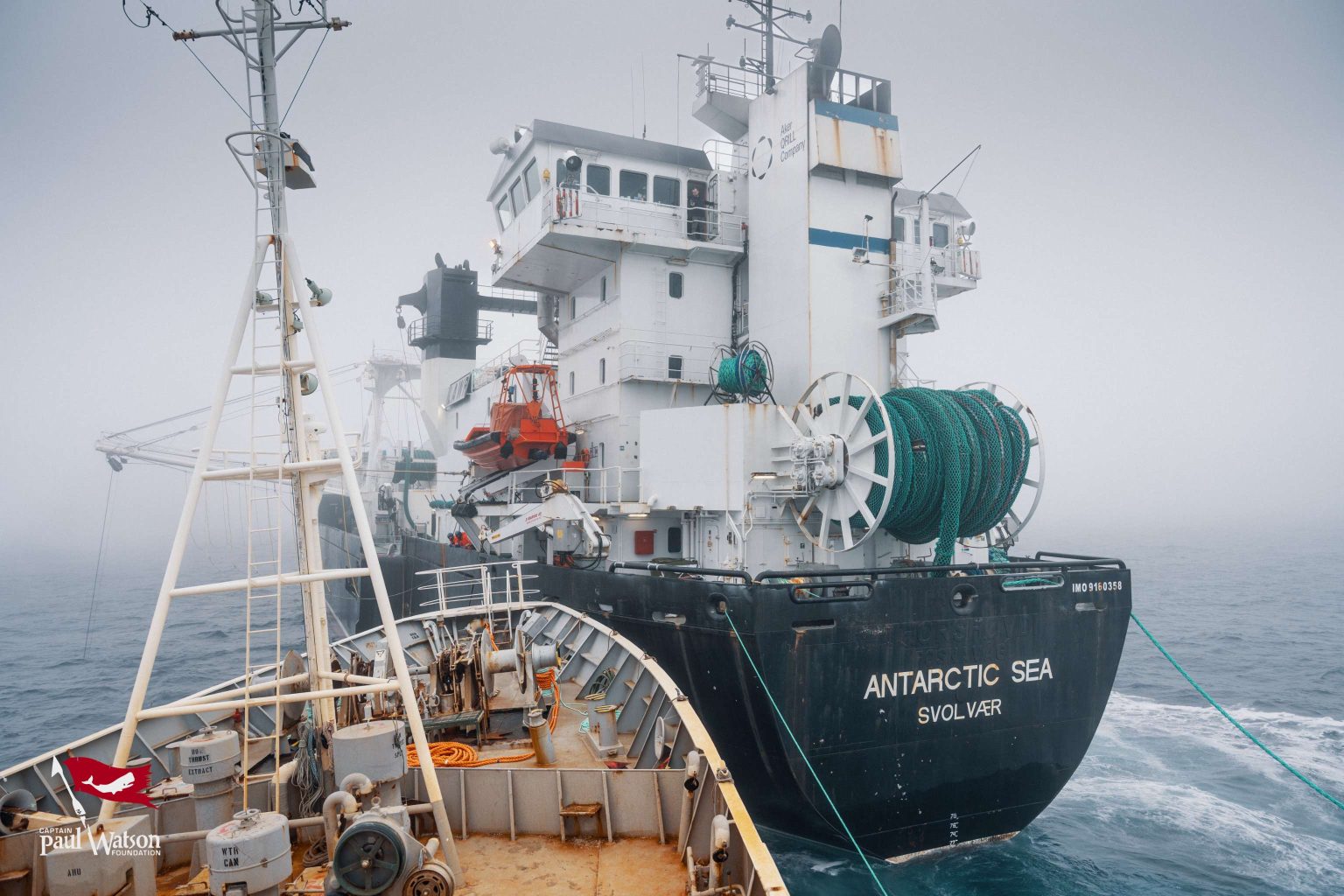 Buque de activistas colisiona con navío dedicado a la pesca de krill en aguas de la Antártica