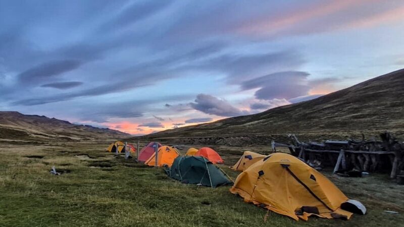 INACH participa en exitosa expedición paleontológica en Cerro Guido y el valle del río de Las Chinas con hallazgos clave del Cretácico