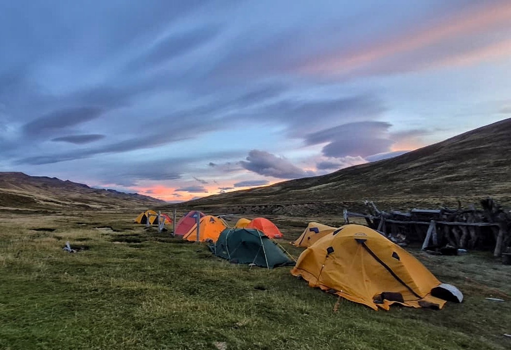 INACH participa en exitosa expedición paleontológica en Cerro Guido y el valle del río de Las Chinas con hallazgos clave del Cretácico