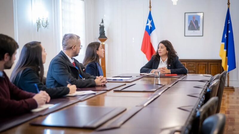Delegada Presidencial de Magallanes se reunió con Subsecretaria de Salud