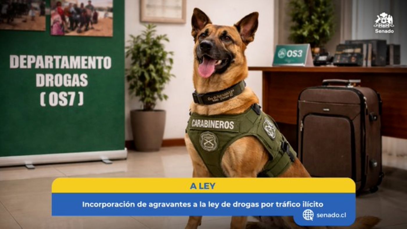Senado aprueba modificaciones a ley 20.000 incorporando nuevas agravantes