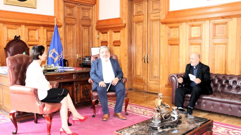 Directiva Nacional de ANEF se reúne con presidenta de la Corte Suprema y plantea inquietudes por criterios en fallos laborales
