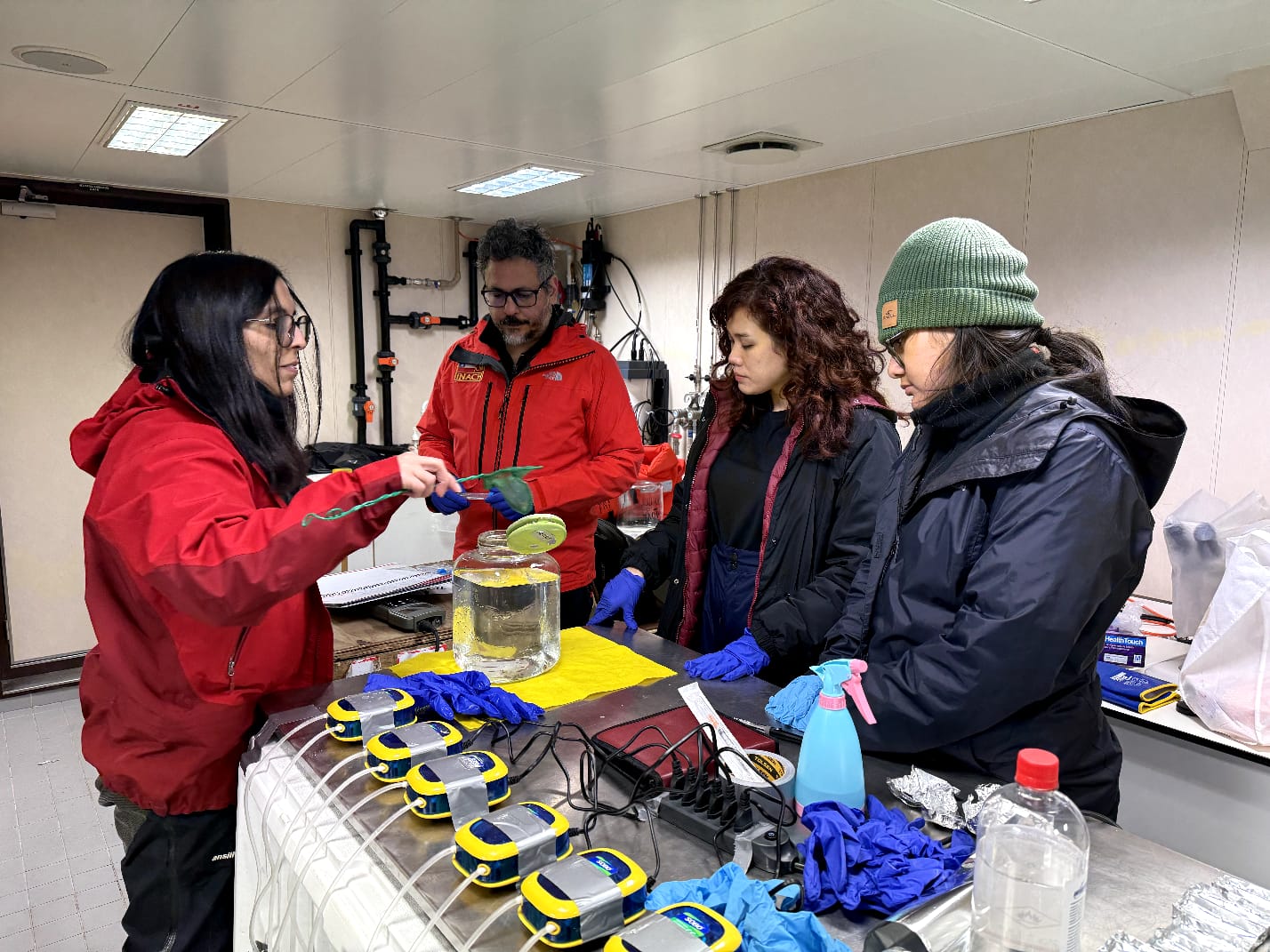 Chile fortalece el monitoreo ecológico de largo plazo del kril en el océano Austral