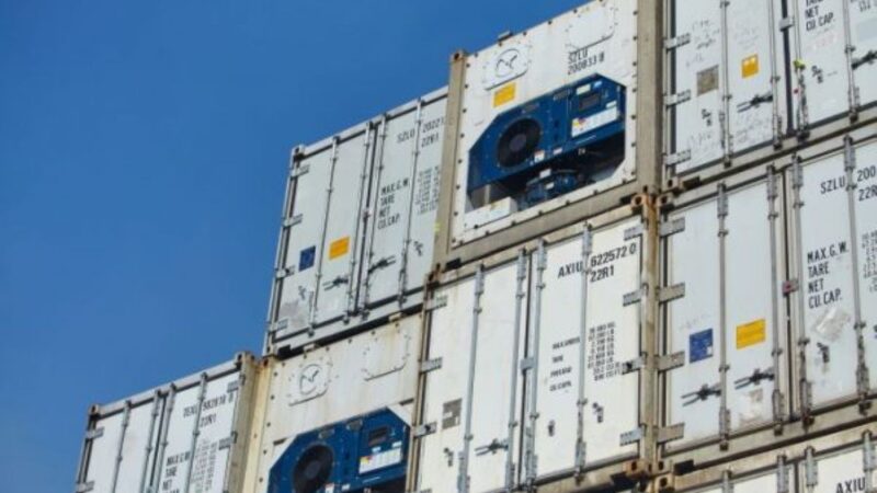 Chile suspende certificación de exportaciones avícolas por influenza aviar
