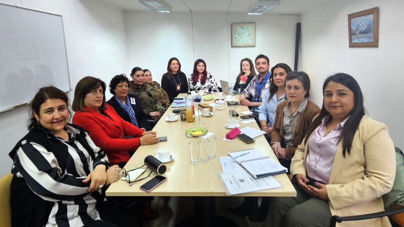 Sesiona Subcomisión de Coordinación Intersectorial de Femicidios de Magallanes