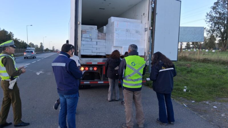Controles de Sernapesca y Red Sustenta permiten detectar 84,1 toneladas comercializadas de productos del mar ilegales
