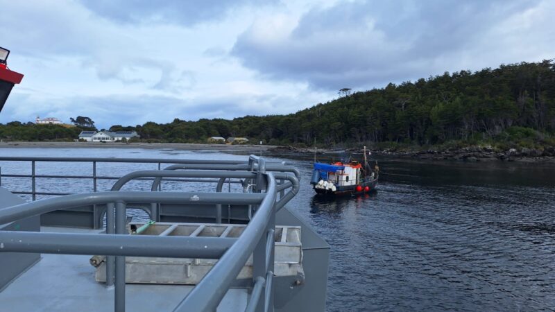 Catamarán turístico asiste a embarcación a la deriva en Cabo Froward