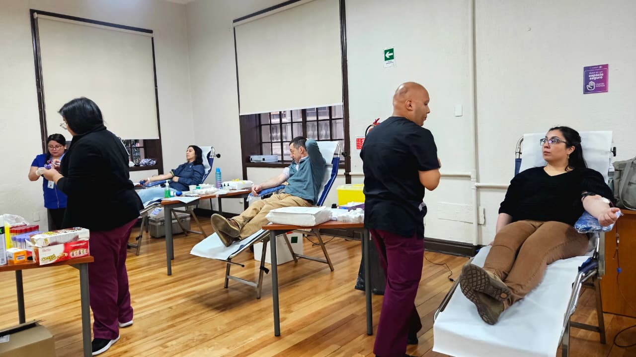 La solidaridad se moviliza: nueva estrategia del Banco de Sangre busca aumentar las donaciones altruistas en Magallanes
