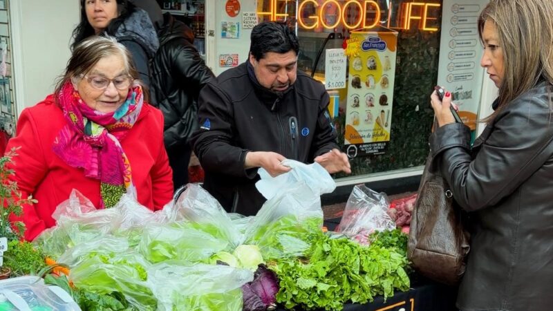 Mercados Campesinos consolidan su éxito en Magallanes y fortalecen el vínculo entre campo y ciudad