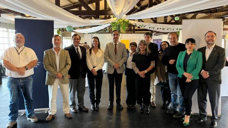 Lanas de Magallanes dan paso clave hacia certificación y valor agregado