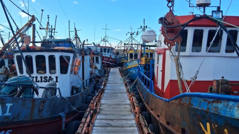 La agonía de la pesca artesanal: leyes desiguales y costos que no dan tregua | Juan Salvador Miranda desde Puerto Natales