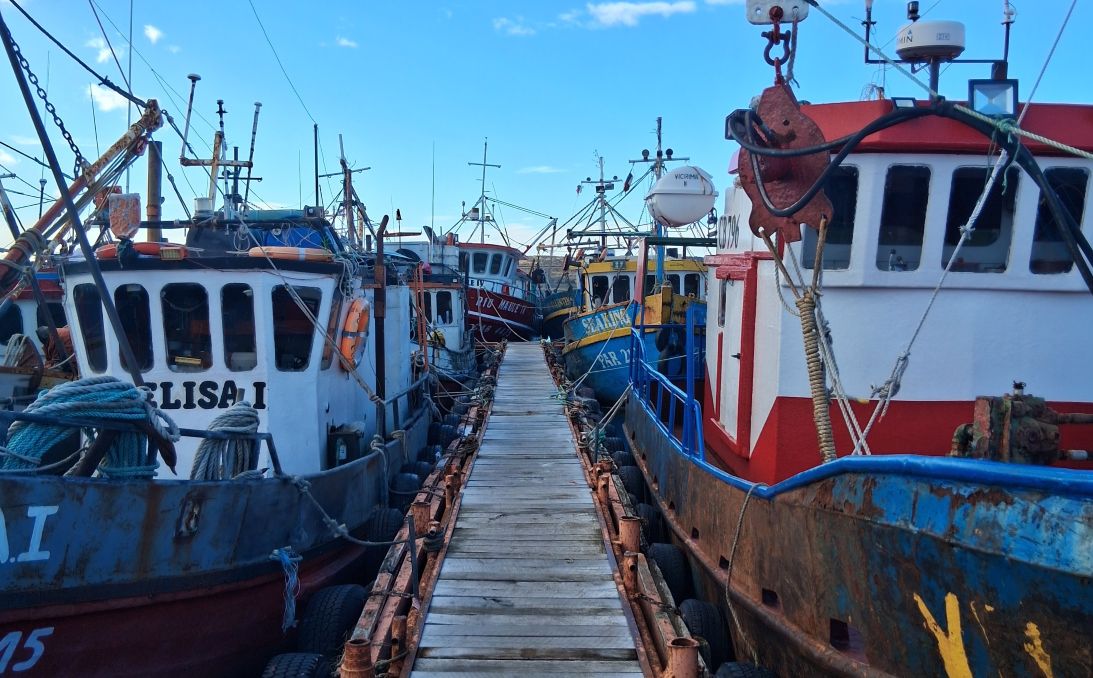 La agonía de la pesca artesanal: leyes desiguales y costos que no dan tregua | Juan Salvador Miranda desde Puerto Natales