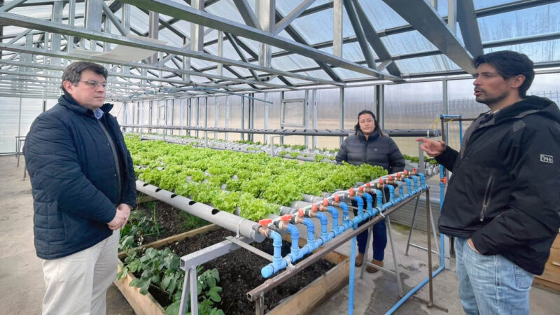 Innovación y oficio sostienen la producción en el sur con apoyo de INDAP