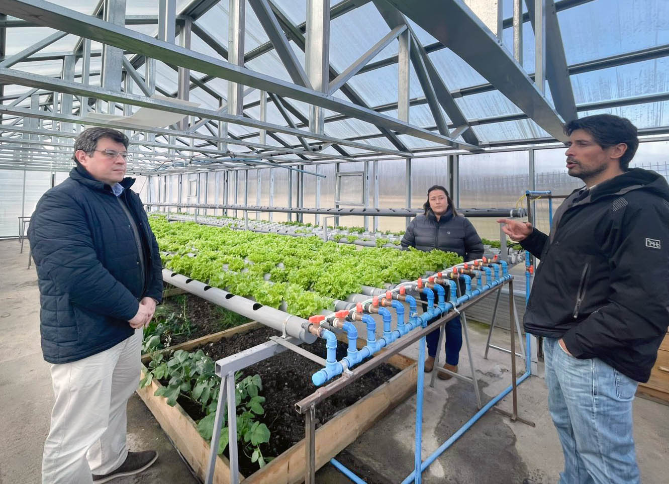 Innovación y oficio sostienen la producción en el sur con apoyo de INDAP