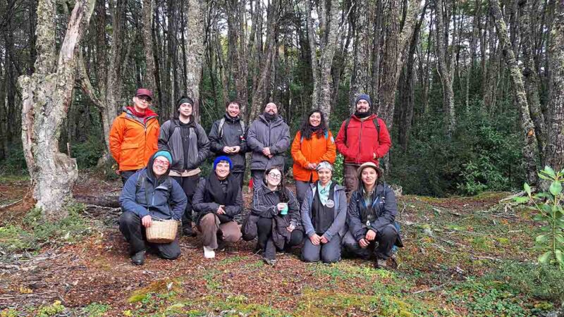 Encuentro colaborativo promueve la conservación efectiva de la biodiversidad del bosque subantártico