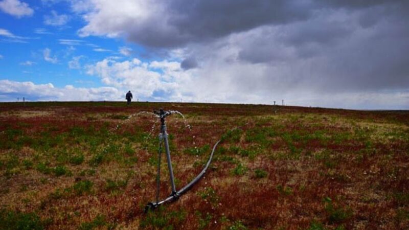 INDAP Magallanes abre concurso de riego con $180 millones para fortalecer la agricultura regional