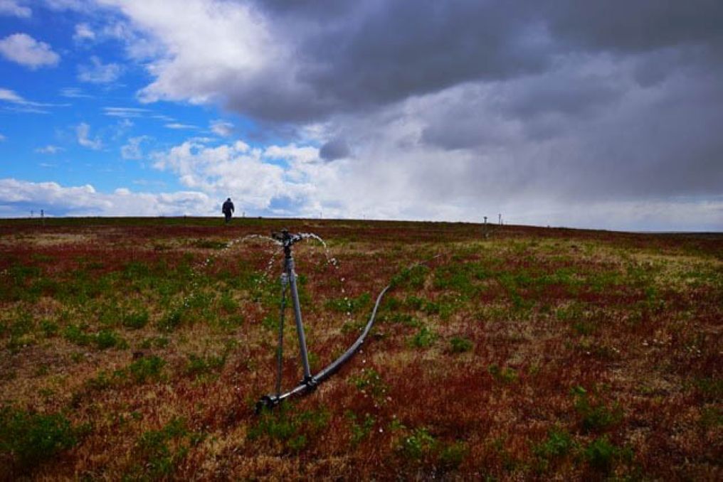 INDAP Magallanes abre concurso de riego con $180 millones para fortalecer la agricultura regional