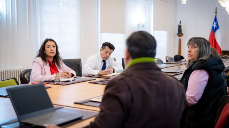 Delegada Presidencial Regional recibió a dirigentes de Personas Mayores y Comunidad Integrada de Pampa Redonda de Punta Arenas