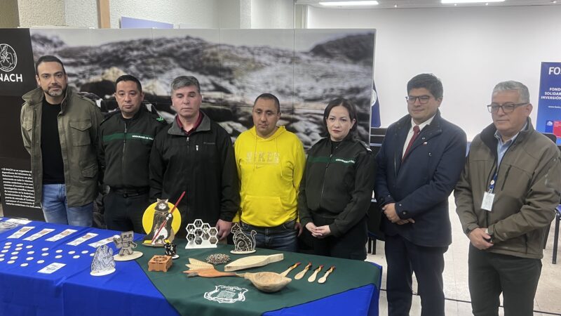 FOSIS apoyó a emprendedores de Punta Arenas a iniciar y fortalecer sus negocios