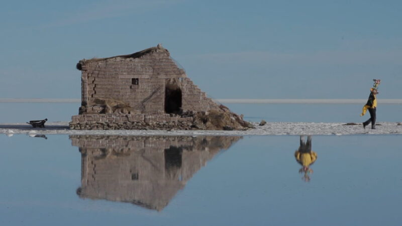 Ciclo de videos sobre exploraciones en la naturaleza, literatura y ciencia ficción se presenta en Punta Arenas