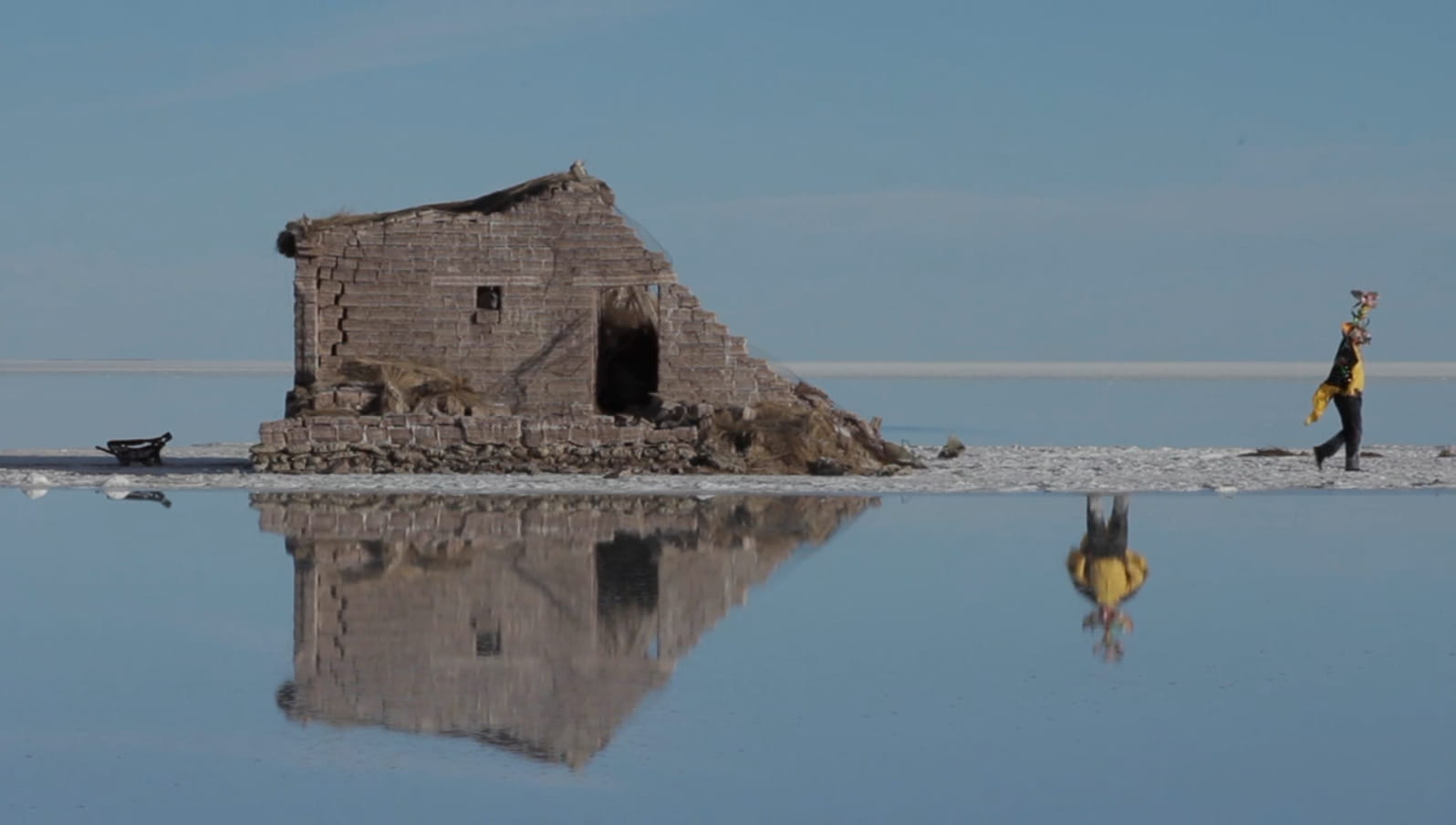 Ciclo de videos sobre exploraciones en la naturaleza, literatura y ciencia ficción se presenta en Punta Arenas