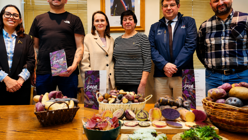 Papas nativas: patrimonio cultural y gastronómico que fortalece la identidad de Magallanes