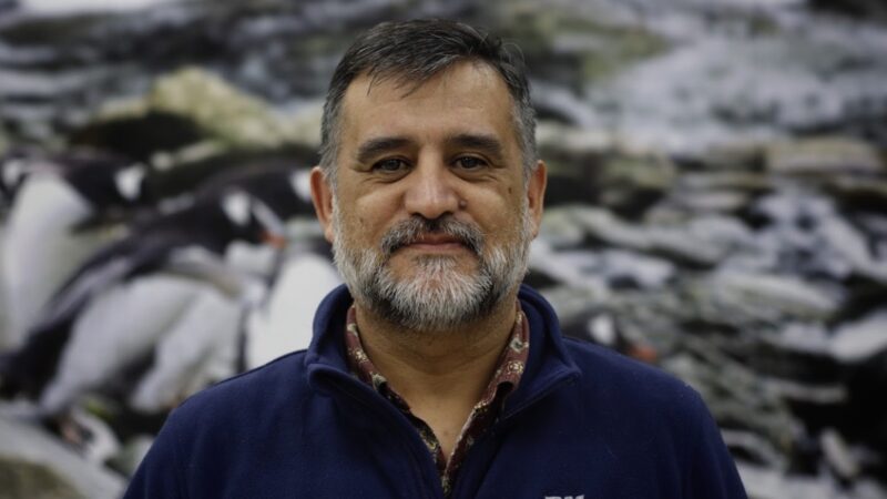Científico chileno integrará grupo internacional de expertos sobre plásticos en entornos polares
