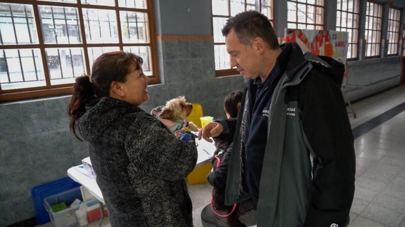 En Punta Arenas se realizó un masivo operativo veterinario canino municipal