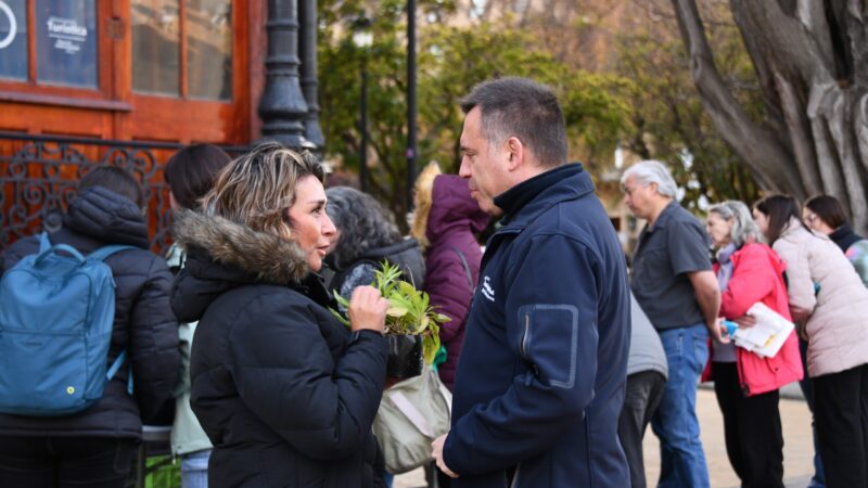 Municipio de Punta Arenas celebra el Día de las Plantas con entrega gratuita de flores
