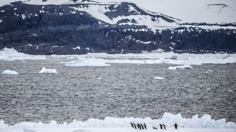 En Japón realizan taller conjunto CPA y CCRVMA sobre cambio climático y monitoreo de la Antártica