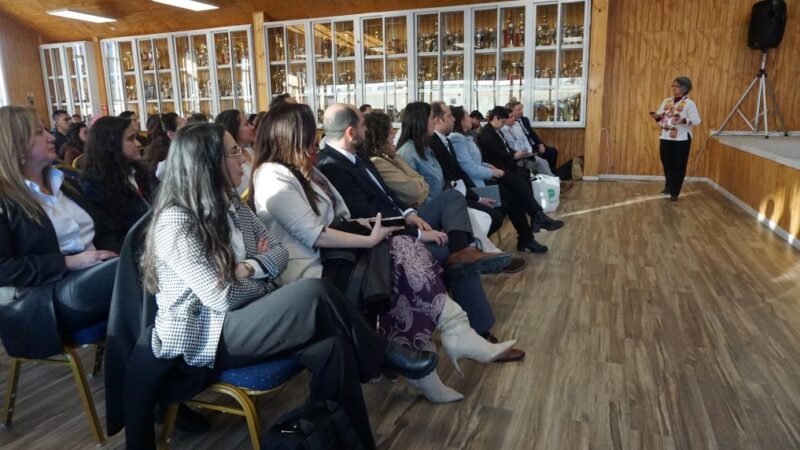 Innovación, identidad y estrategia: las claves que podrían definir el futuro del turismo en Magallanes