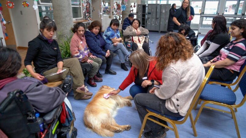Municipalidad impulsa terapia asistida con canes para personas con discapacidad en Punta Arenas