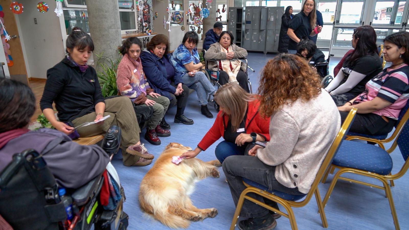 Municipalidad impulsa terapia asistida con canes para personas con discapacidad en Punta Arenas