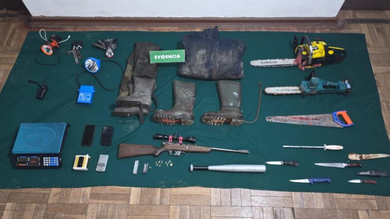 Dos detenidos por abigeato en Puerto Natales