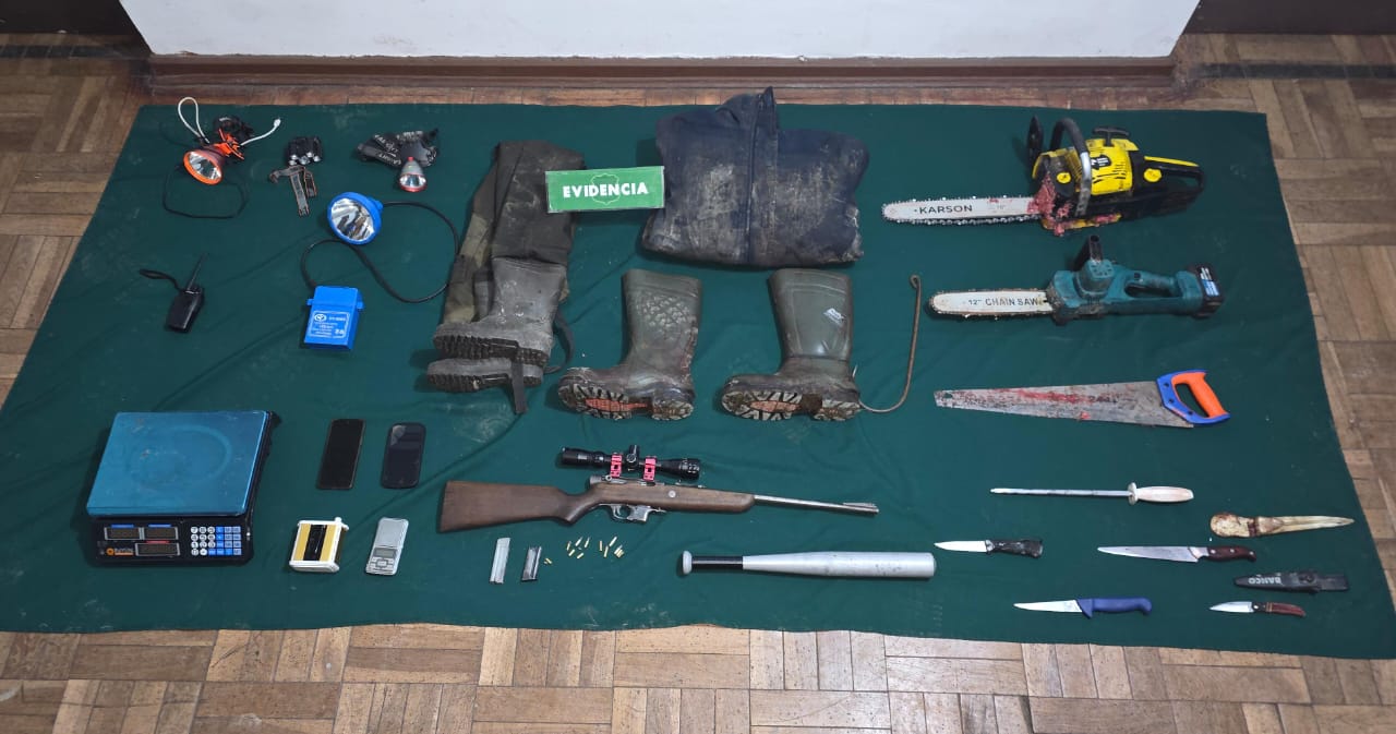 Dos detenidos por abigeato en Puerto Natales
