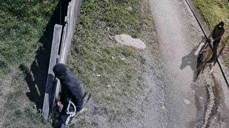 Cámaras municipales frustran robo de caballo en Parque María Behety