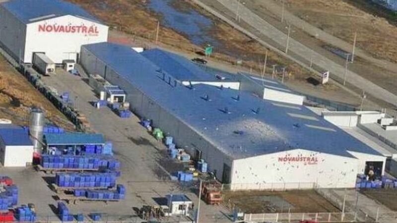 Sindicato de trabajadores de Nova Austral de Porvenir alcanza acuerdo tras negociación colectiva