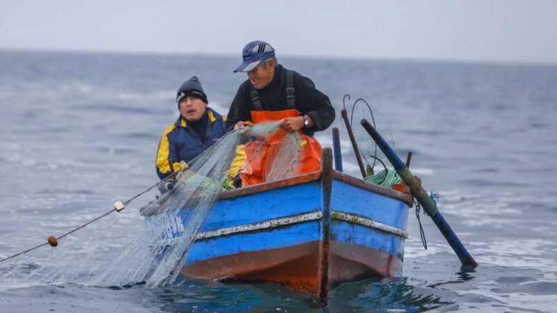 Todos comen pescado, pero pocos conocen quiénes los pescan: las faenas de los pescadores artesanales en los mares australes.