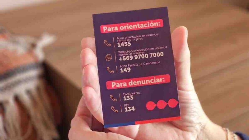Seremi de la Mujer y SernamEG Magallanes condenan caso de violencia de género en Punta Arenas