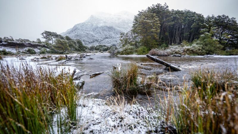Nuevas rutas en Magallanes: Experiencias de lujo consciente en territorios remotos.