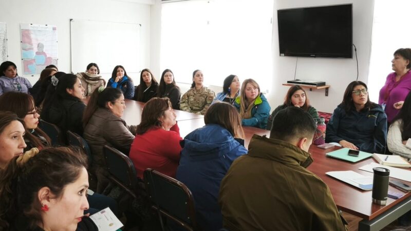 Taller de Primera Respuesta en Violencia contra las Mujeres realizó la SEREMI de la Mujer