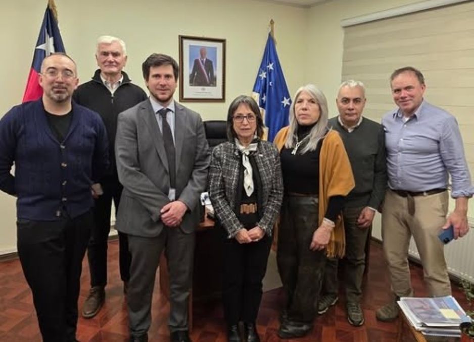 Consejeros Regionales oficialistas se reúnen con la Delegada Provincial de Tierra del Fuego.
