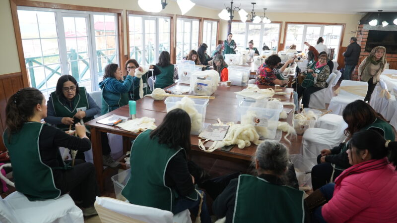 Se realizó hoy en Río Verde primera jornada del «Taller de Hilado y Teñido de Lanas: Oficios tradicionales Patagónicos 2026»