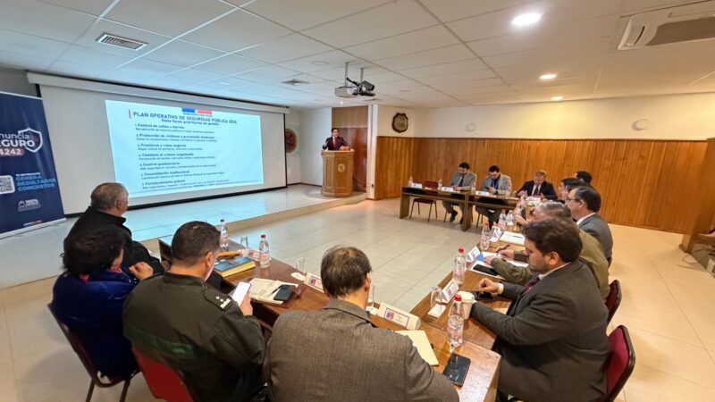 Consejo Regional de Seguridad Pública y Prevención del Delito de Magallanes definió prioridades para fortalecer la seguridad en la región.