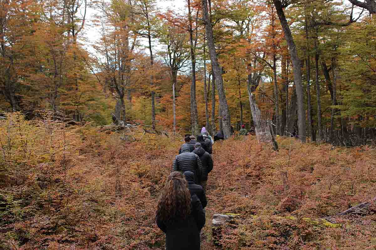 Parque Karukinka abre convocatoria para nuevo programa de voluntariado en Tierra del Fuego