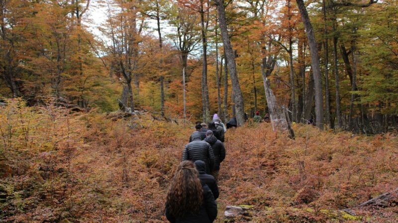 Parque Karukinka de Tierra del Fuego abre convocatoria para nuevo programa de voluntariado.