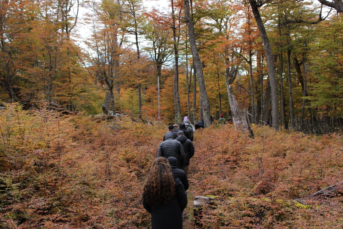 Parque Karukinka de Tierra del Fuego abre convocatoria para nuevo programa de voluntariado.