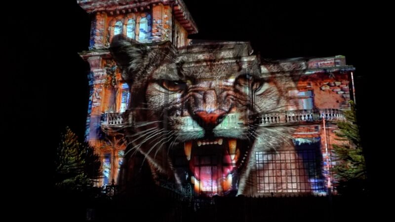 Patagonia Light Festival inicia ocho noches llenas de luz y arte en Punta Arenas