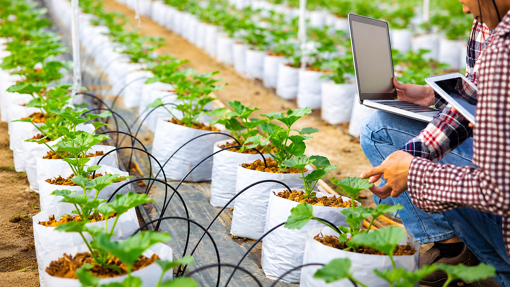 FIA abre convocatoria 2026 para impulsar innovaciones que fortalezcan la sostenibilidad y competitividad del agro
