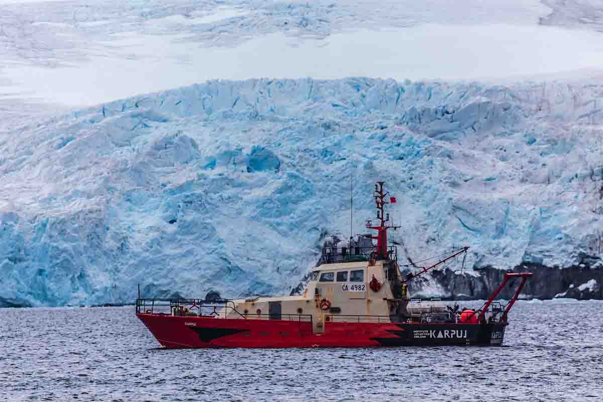 El “albatros” de la ciencia sigue su vuelo: lancha Karpuj culmina exitosa y extensa campaña antártica